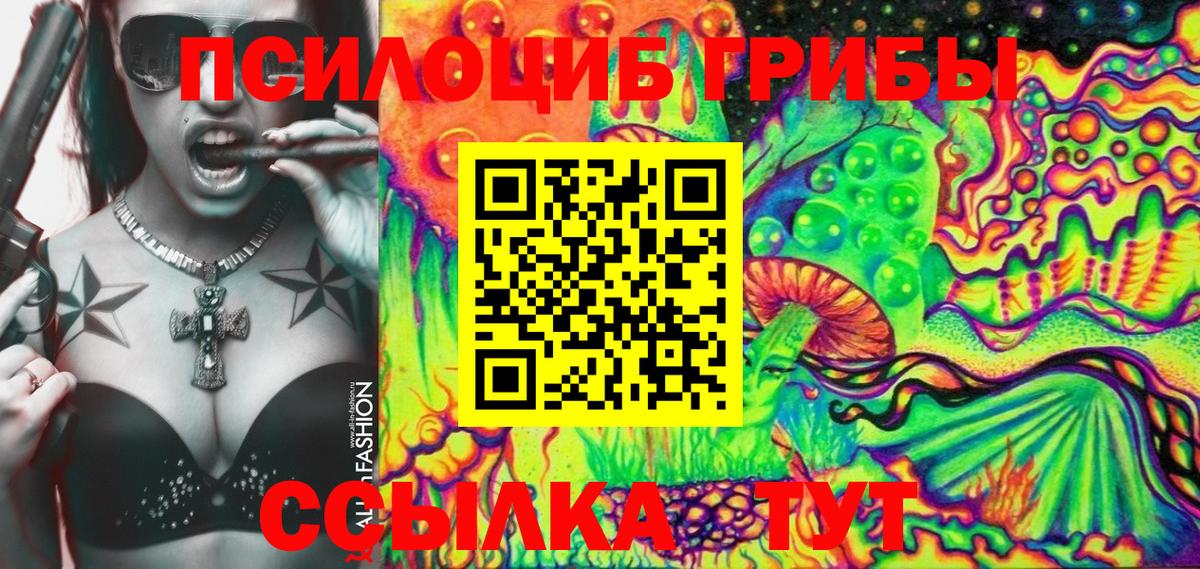 Миллерово  Галлюциногенные грибы MAGIC MUSHROOMS  Вход с VPN 